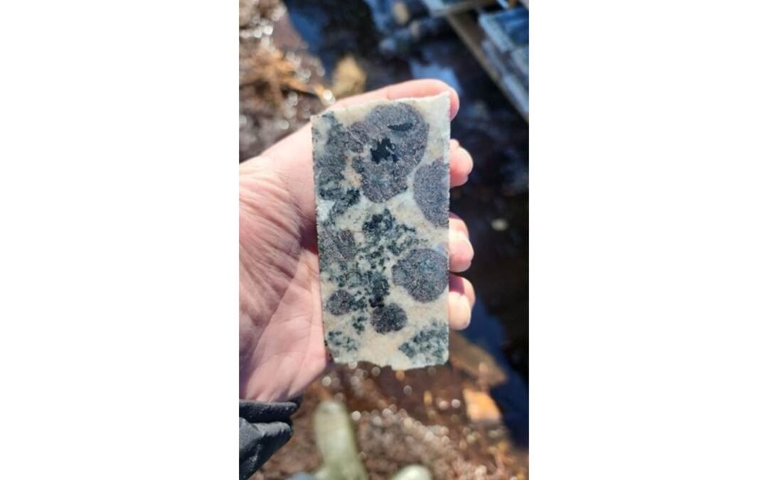 El descubrimiento de minerales de Juno se amplía para incluir metales magnéticos de tierras raras pesadas